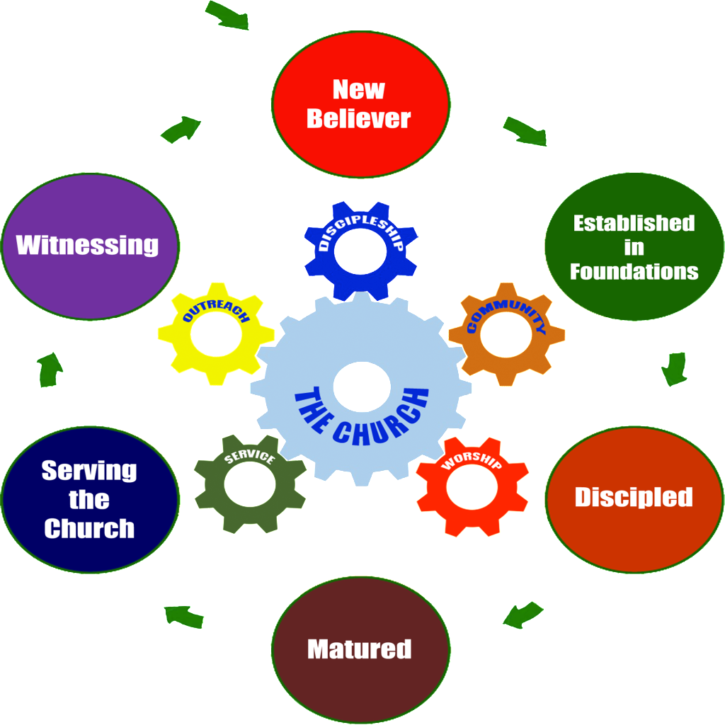 Purpose Diagram Final Transparent